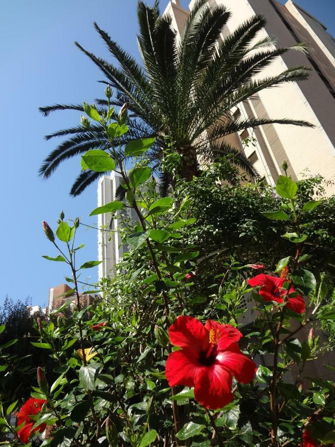 Best View - Welcome Penthouse Apartamentos Karola Benidorm Exterior photo